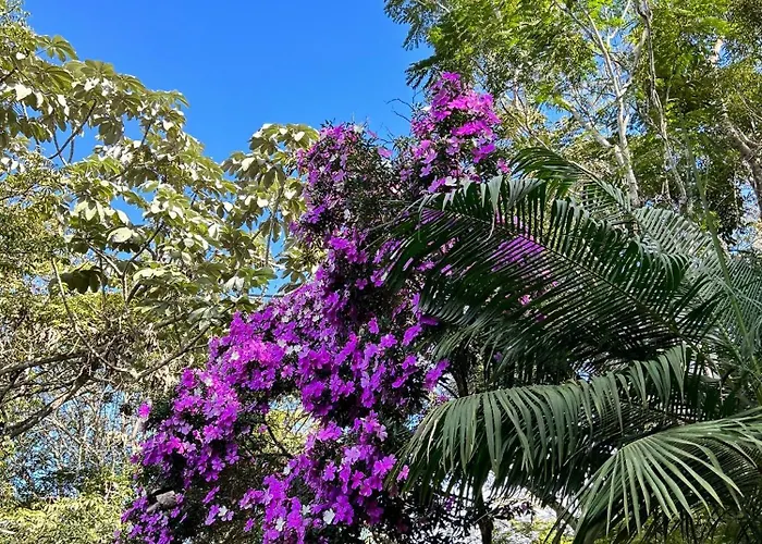 Pousada Chale Da Mata - Circuito Caravaggio, Santa TeresaPousada